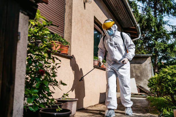 Best Bird Control  in Sewaren, NJ