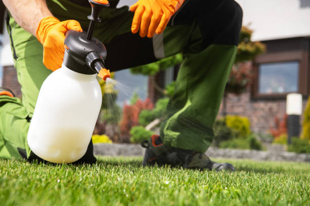 Best Flea Control Services  in Sewaren, NJ