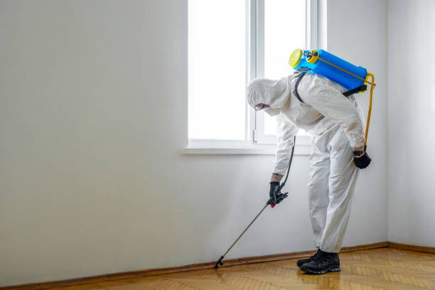 Best Bed Bug Extermination  in Sewaren, NJ