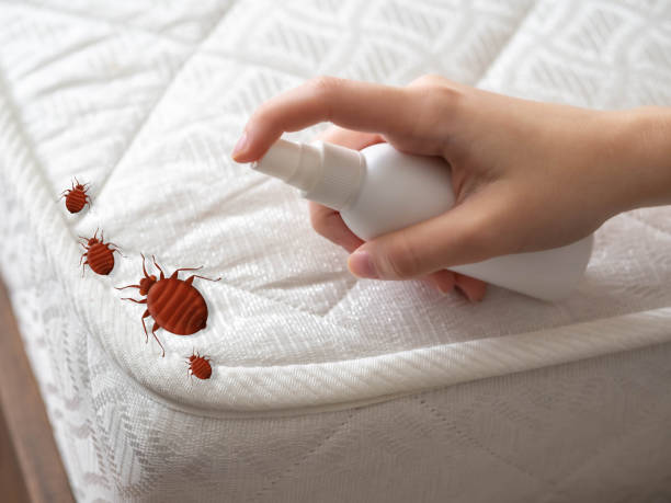 Best Insect Control  in Sewaren, NJ