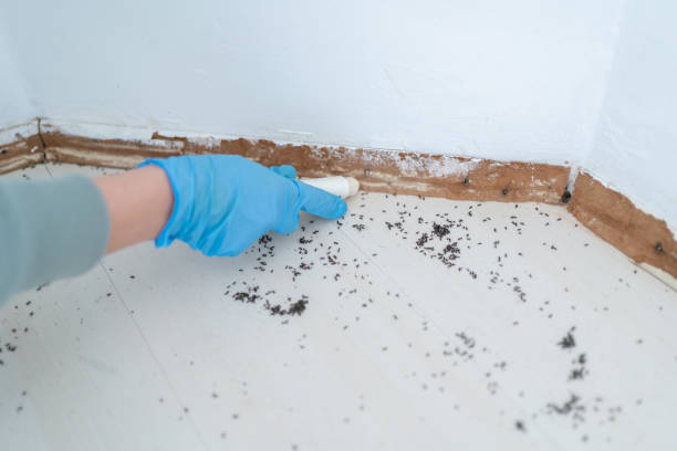 Best Mosquito Control Services  in Sewaren, NJ