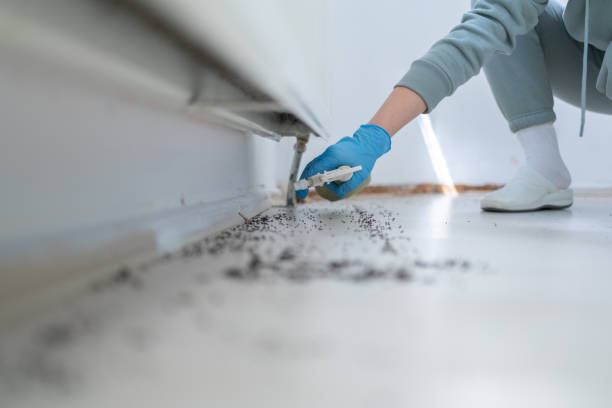 Pest Control Cost in Sewaren, NJ